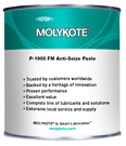 Molykote P-1900FM 400g padrun