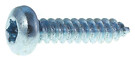 DIN 7981C Zn 2,9x13 TX10 Pan head